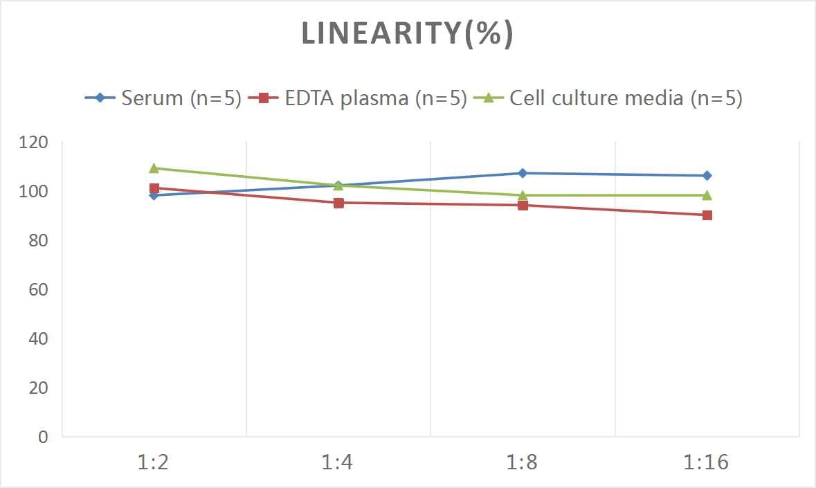 Mouse Luteinizing Hormone ELISA Kit (Chemiluminescence)