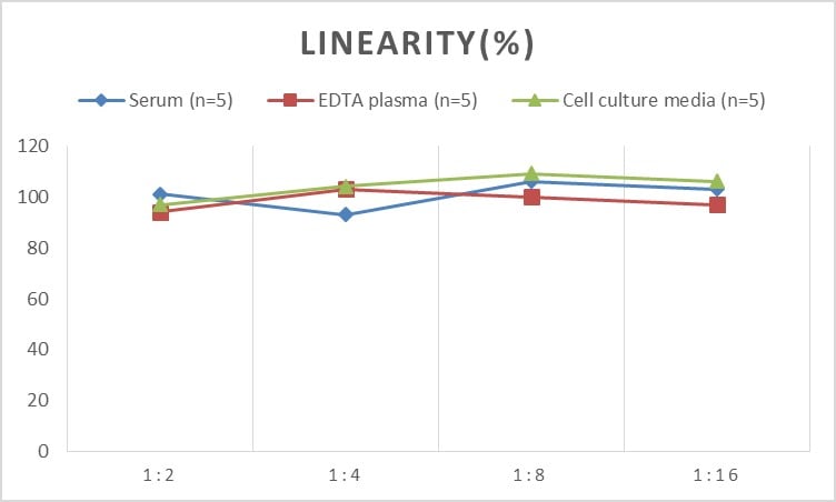 Mouse XCL1/Lymphotactin ELISA Kit (Chemiluminescence)