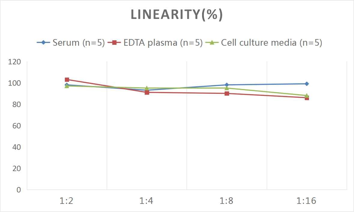Mouse XCL1/Lymphotactin ELISA Kit (Colorimetric)