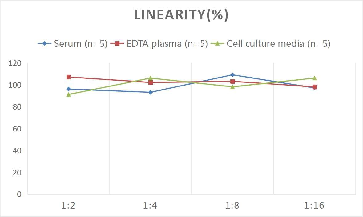 Human NT-4 ELISA Kit (Chemiluminescence)