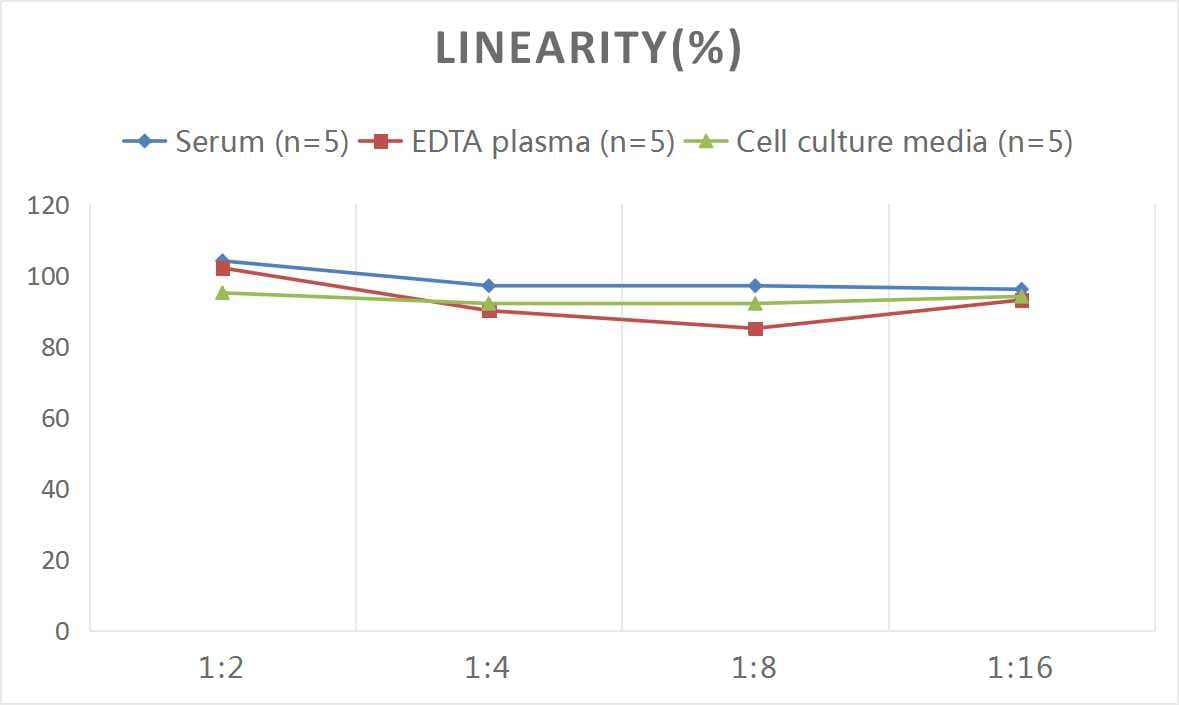 Mouse SPARC ELISA Kit (Colorimetric)