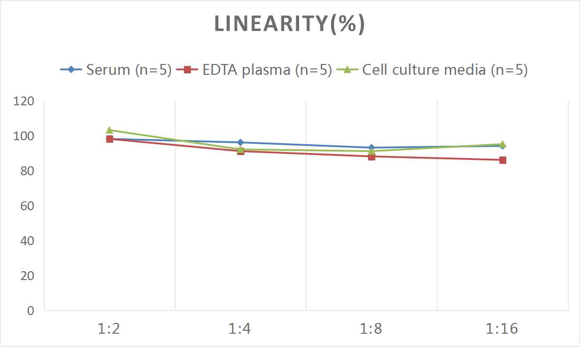 Rat Oncostatin M/OSM ELISA Kit (Colorimetric)