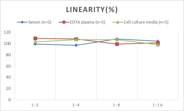 Human OSMR beta ELISA Kit (Chemiluminescence)