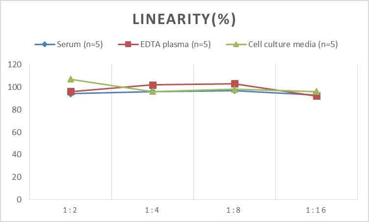 Rat Plasminogen ELISA Kit (Chemiluminescence)