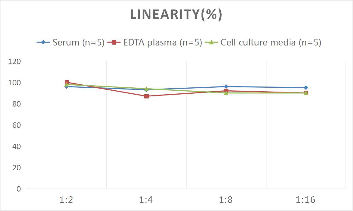 Human SAA ELISA Kit (Colorimetric)