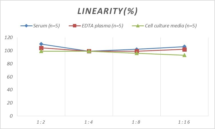 Rat proANP ELISA Kit (Chemiluminescence)
