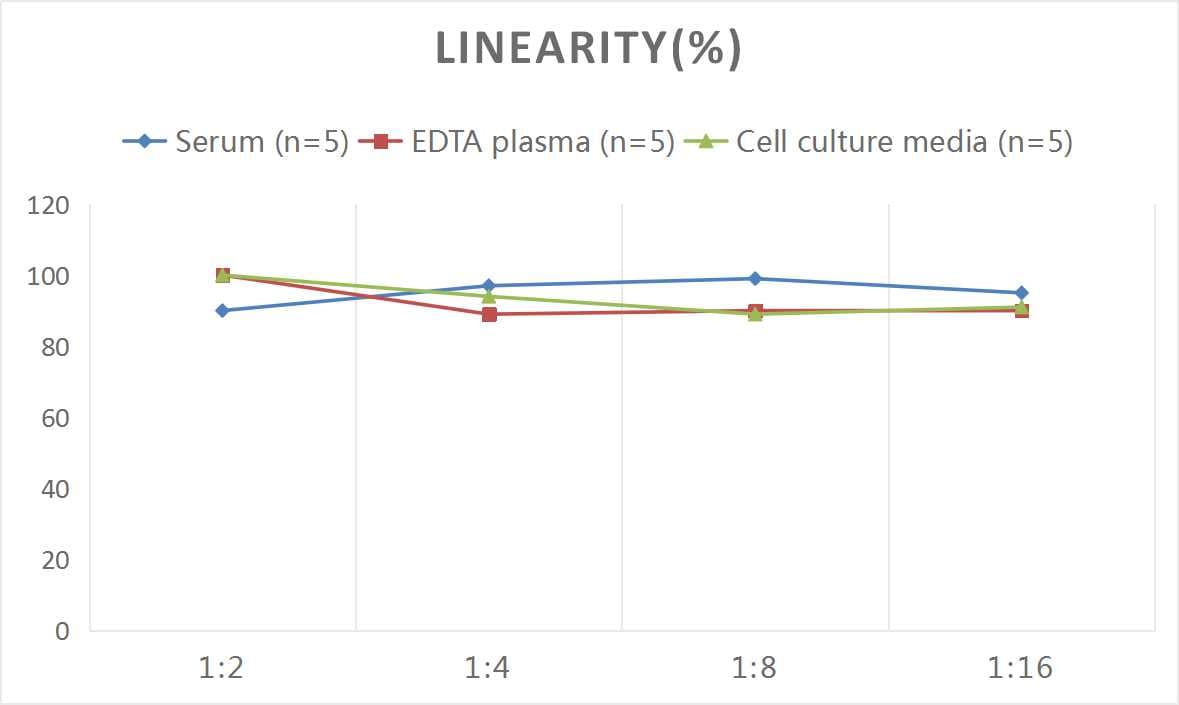 Mouse proANP ELISA Kit (Colorimetric)