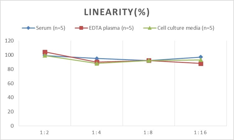 Rat proANP ELISA Kit (Colorimetric)