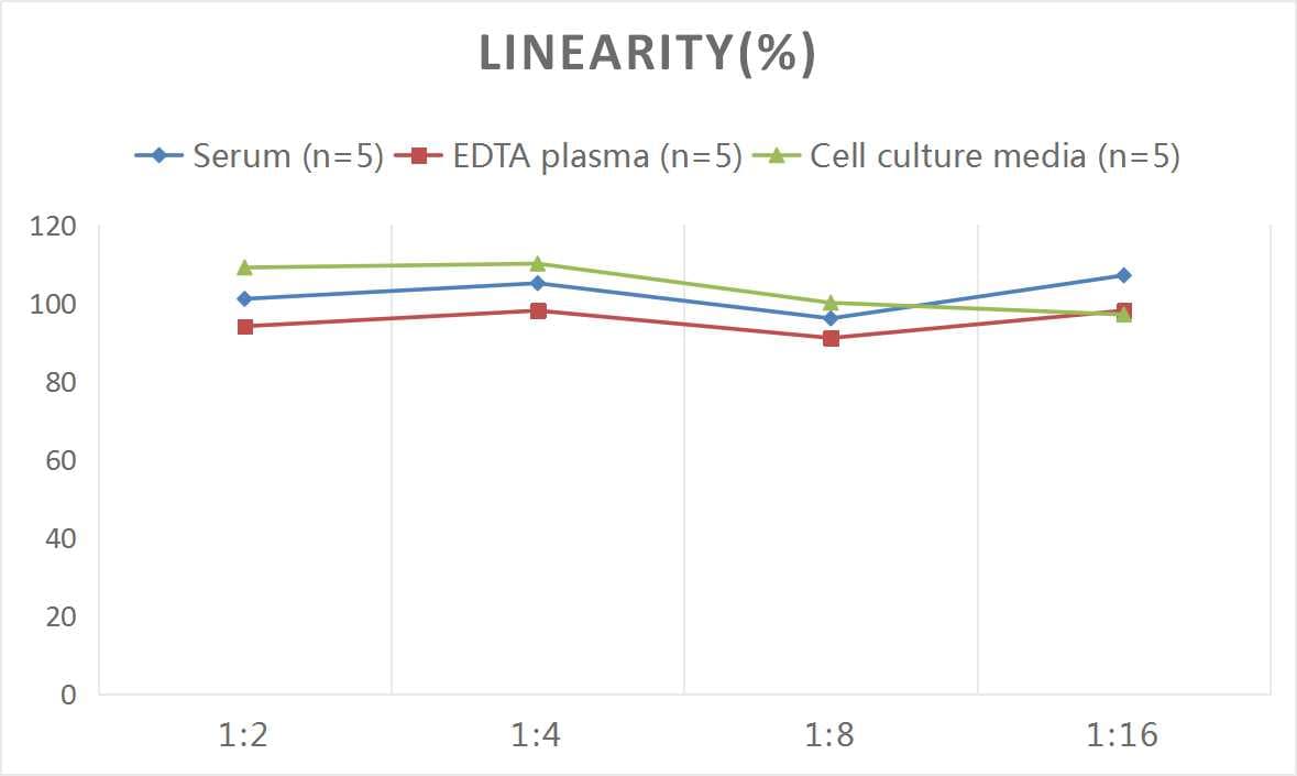 Mouse Osteocalcin ELISA Kit (Chemiluminescence)