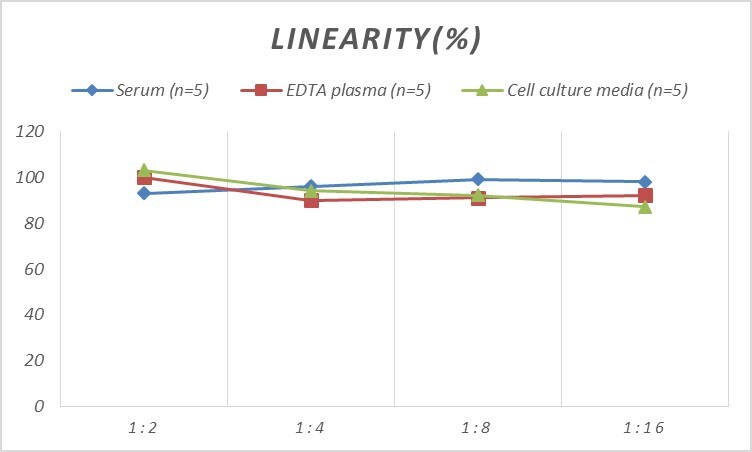 Human AKAP1 ELISA Kit (Colorimetric)