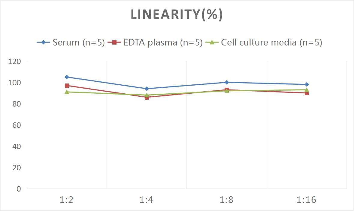 Mouse ALCAM/CD166 ELISA Kit (Colorimetric)