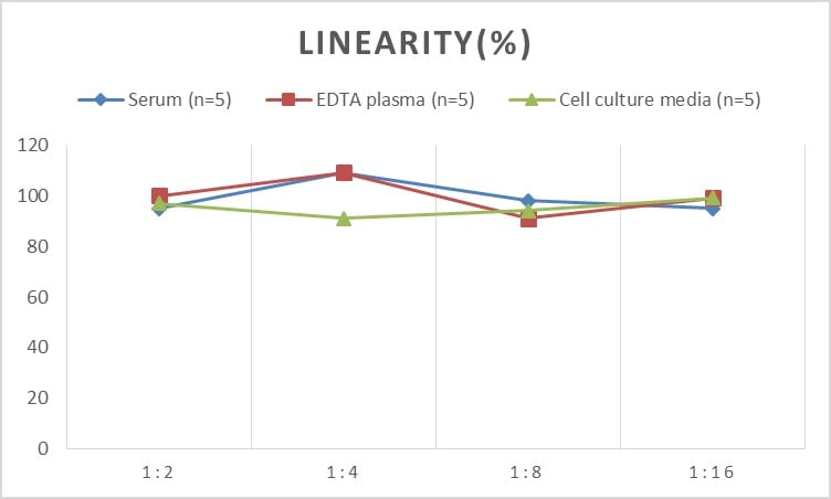 Human Aldolase A ELISA Kit (Chemiluminescence)