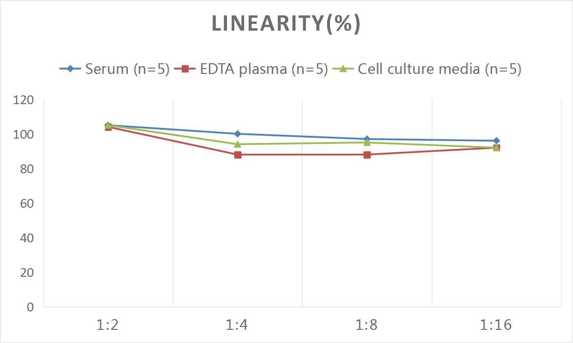 Rat Alkaline Phosphatase, Liver/Bone/Kidney ELISA Kit (Colorimetric)