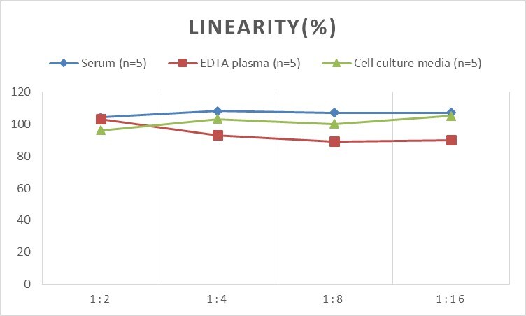 Rat Angiogenin ELISA Kit (Colorimetric)