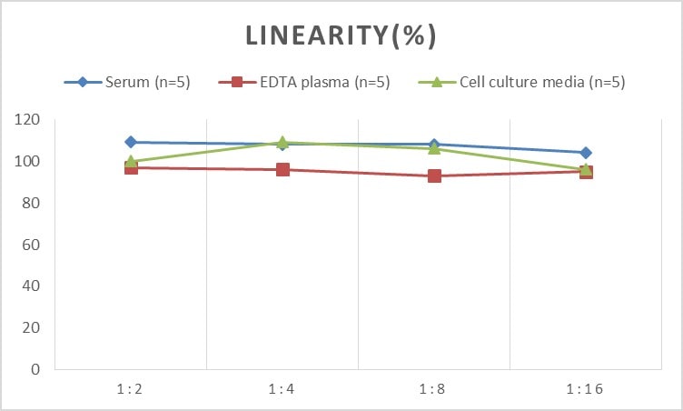 Human Angiopoietin-like Protein 6/ANGPTL6 ELISA Kit (Chemiluminescence)