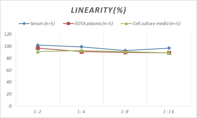 Mouse APAF-1 ELISA Kit (Colorimetric)