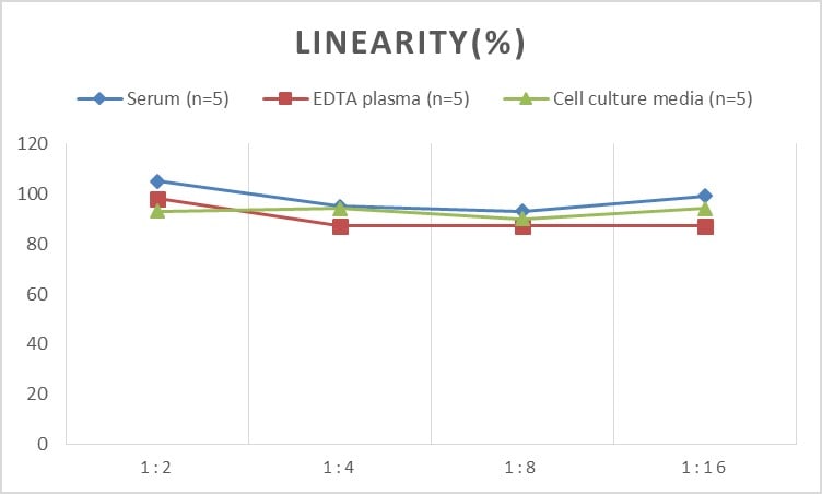 Rat Apolipoprotein A-IV/ApoA4 ELISA Kit (Colorimetric)