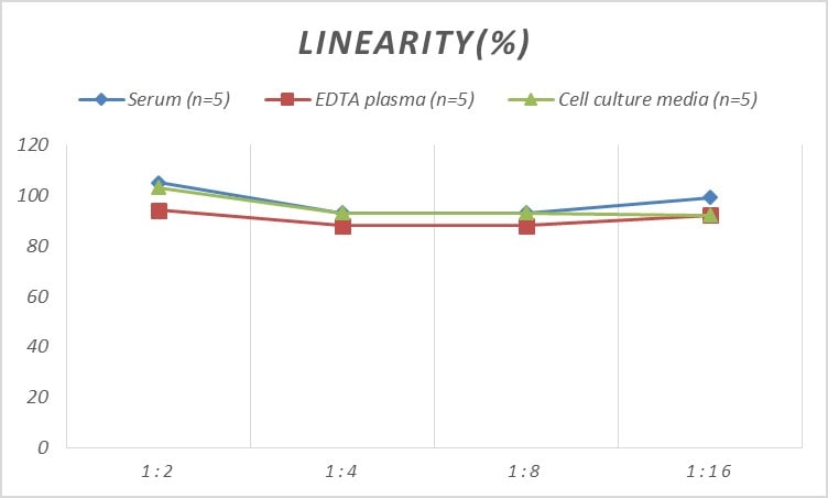Rat Apolipoprotein A5 ELISA Kit (Colorimetric)