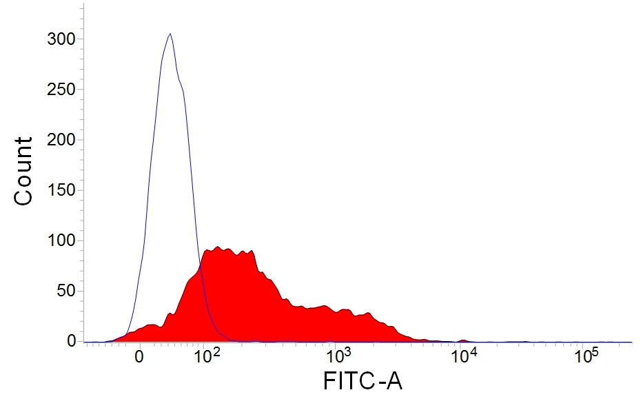 Mouse anti-Rabbit IgM (H+L) Secondary Antibody (NRBM) [PE] Flow Cytometry: Mouse anti-Rabbit IgM (H+L) Secondary Antibody (NRBM) [PE] - [NBP2-68468] -