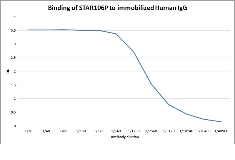 Goat anti-Human IgG Heavy Chain Secondary Antibody (Pre-adsorbed) ELISA: Goat anti-Human IgG Heavy Chain Secondary Antibody (Pre-adsorbed) [NBP2-68475] -
