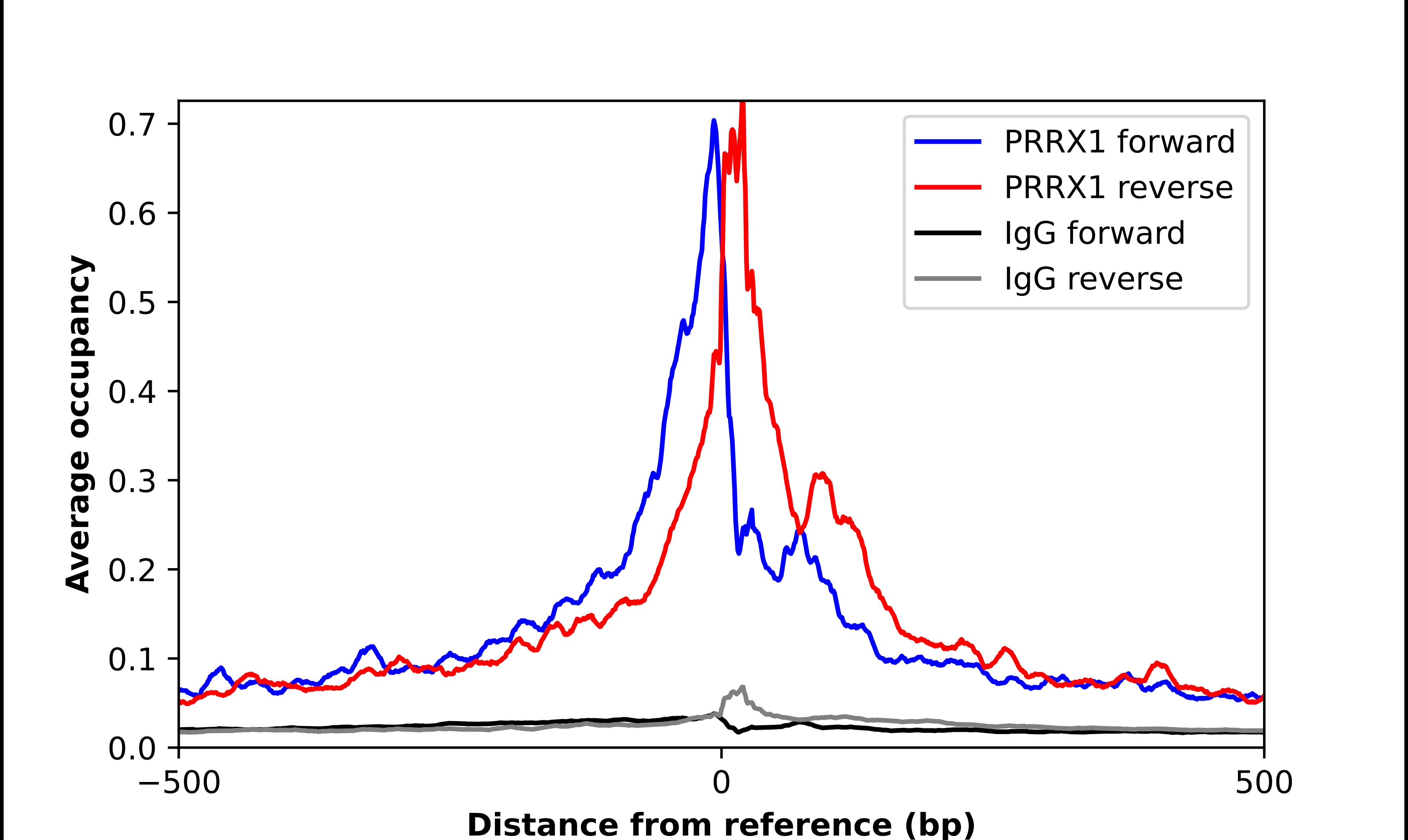 PRRX1 Antibody - BSA Free Chromatin Immunoprecipitation-exo-Seq: PRRX1 Antibody - BSA Free [NBP2-68808]