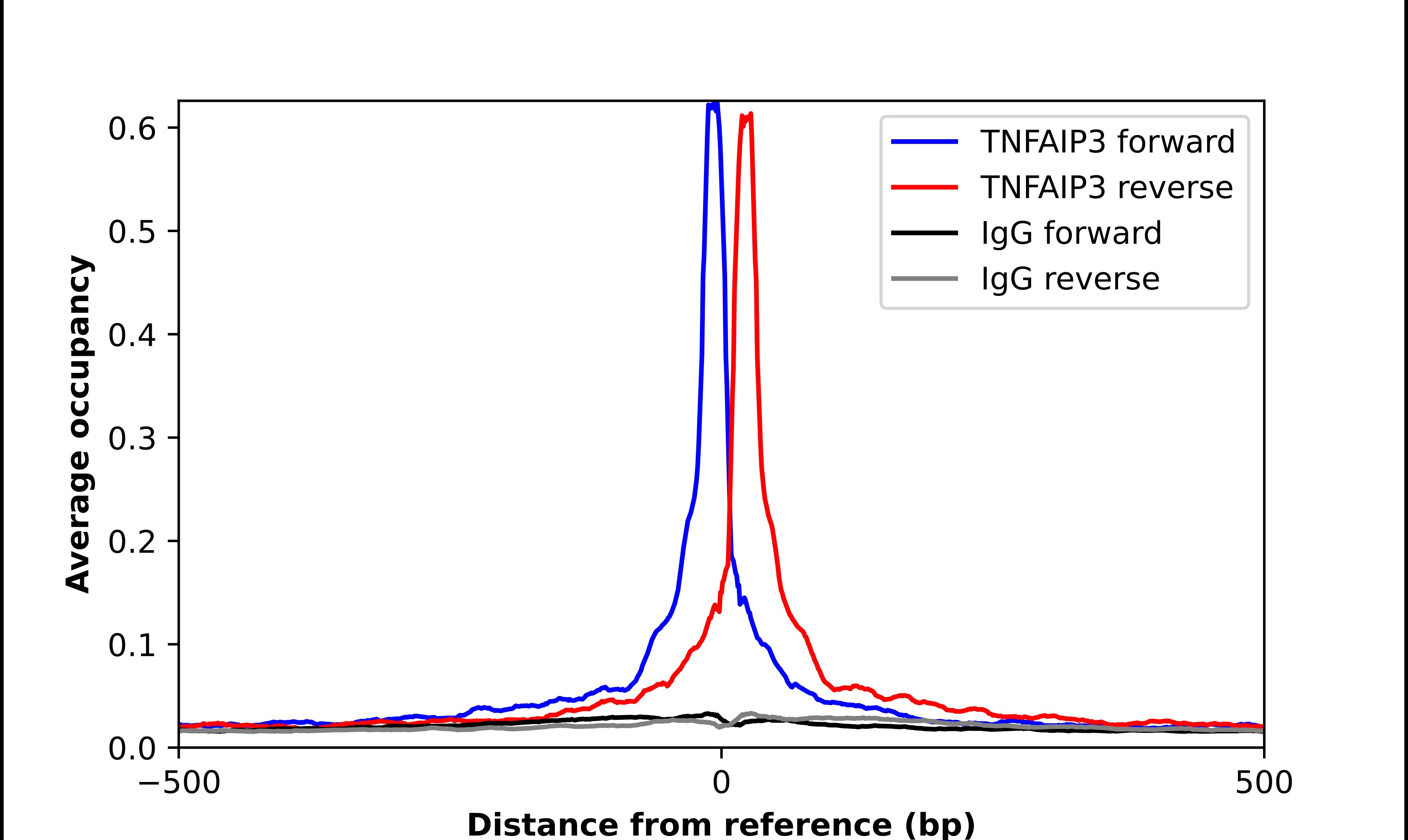 A20/TNFAIP3 Antibody - BSA Free Chromatin Immunoprecipitation ChIP: A20/TNFAIP3 Antibody - BSA Free