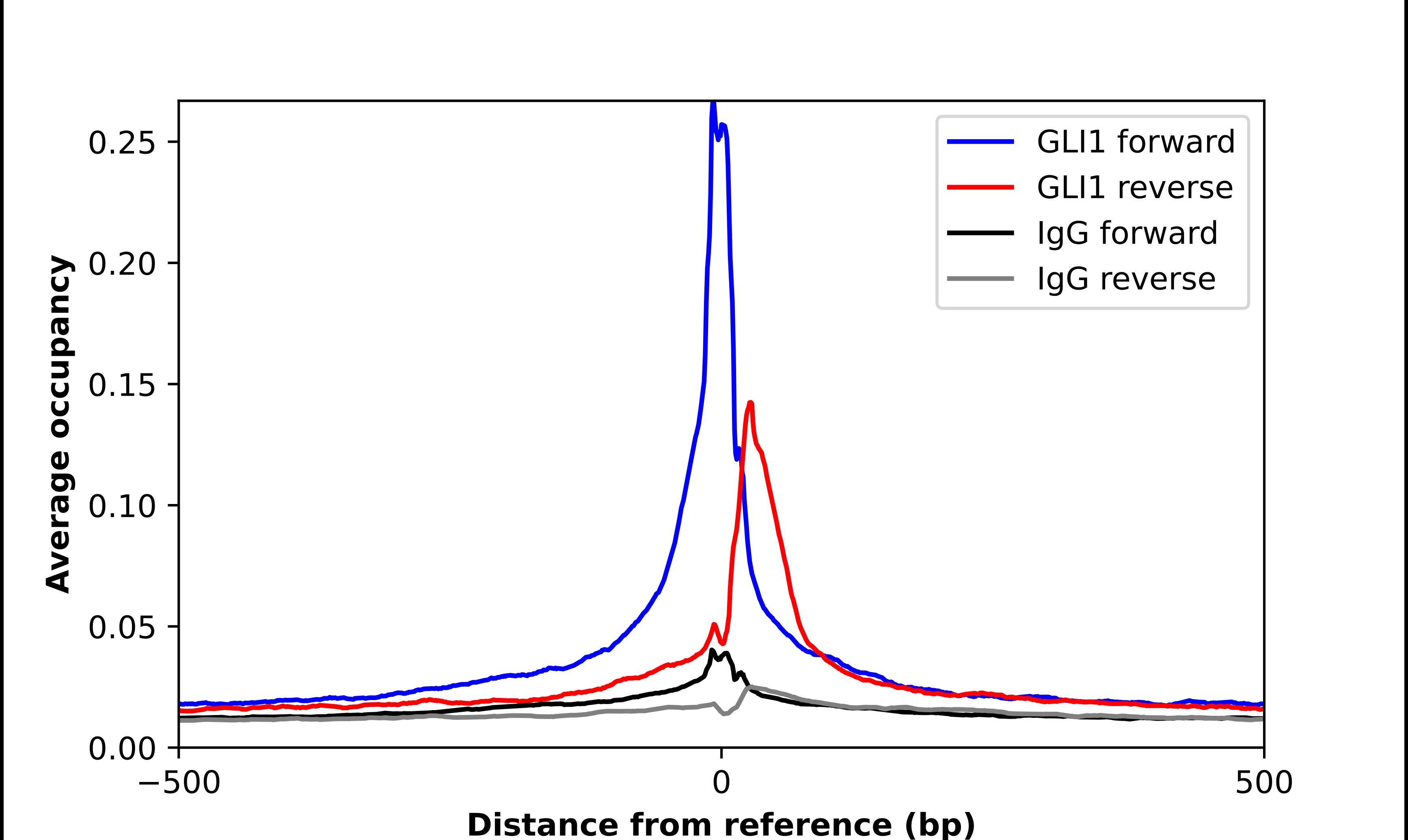 GLI-1 Antibody - BSA Free Chromatin Immunoprecipitation ChIP: GLI-1 Antibody - BSA Free