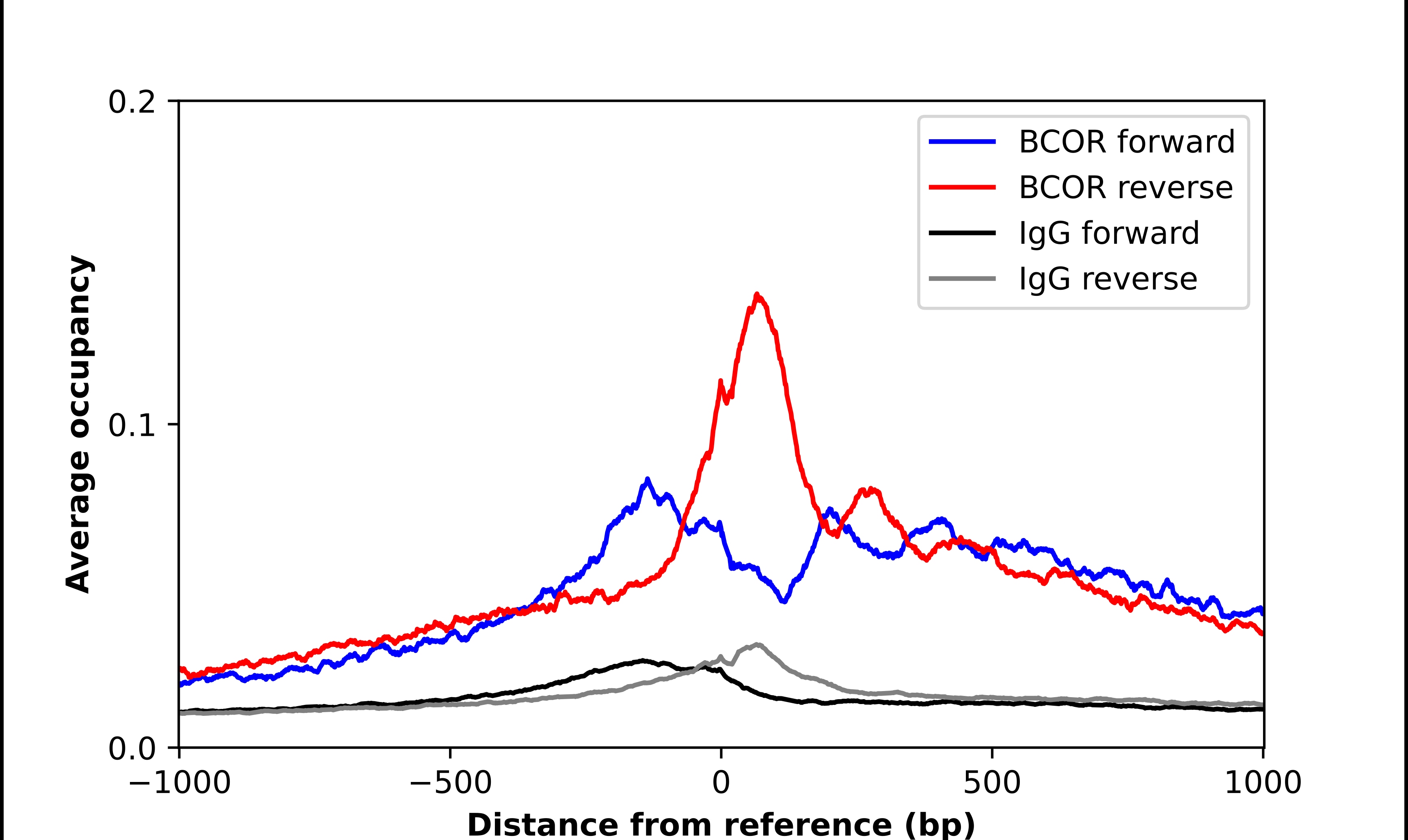 BCOR Antibody - BSA Free Chromatin Immunoprecipitation-exo-Seq: BCOR Antibody - BSA Free [NBP2-68956]