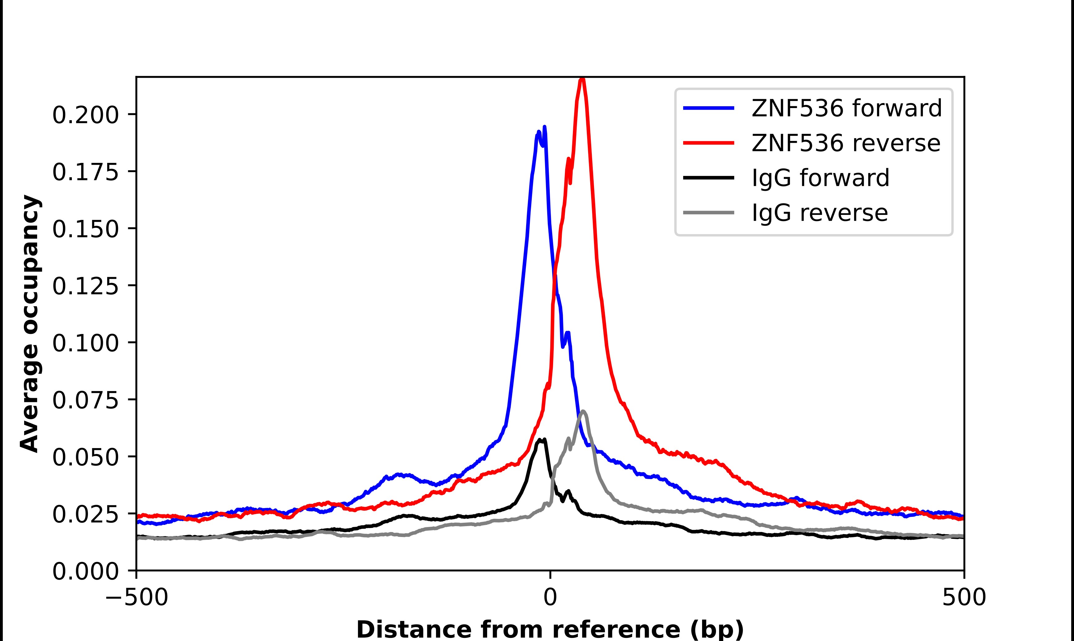 ZNF536 Antibody - BSA Free Chromatin Immunoprecipitation ChIP: ZNF536 Antibody - BSA Free