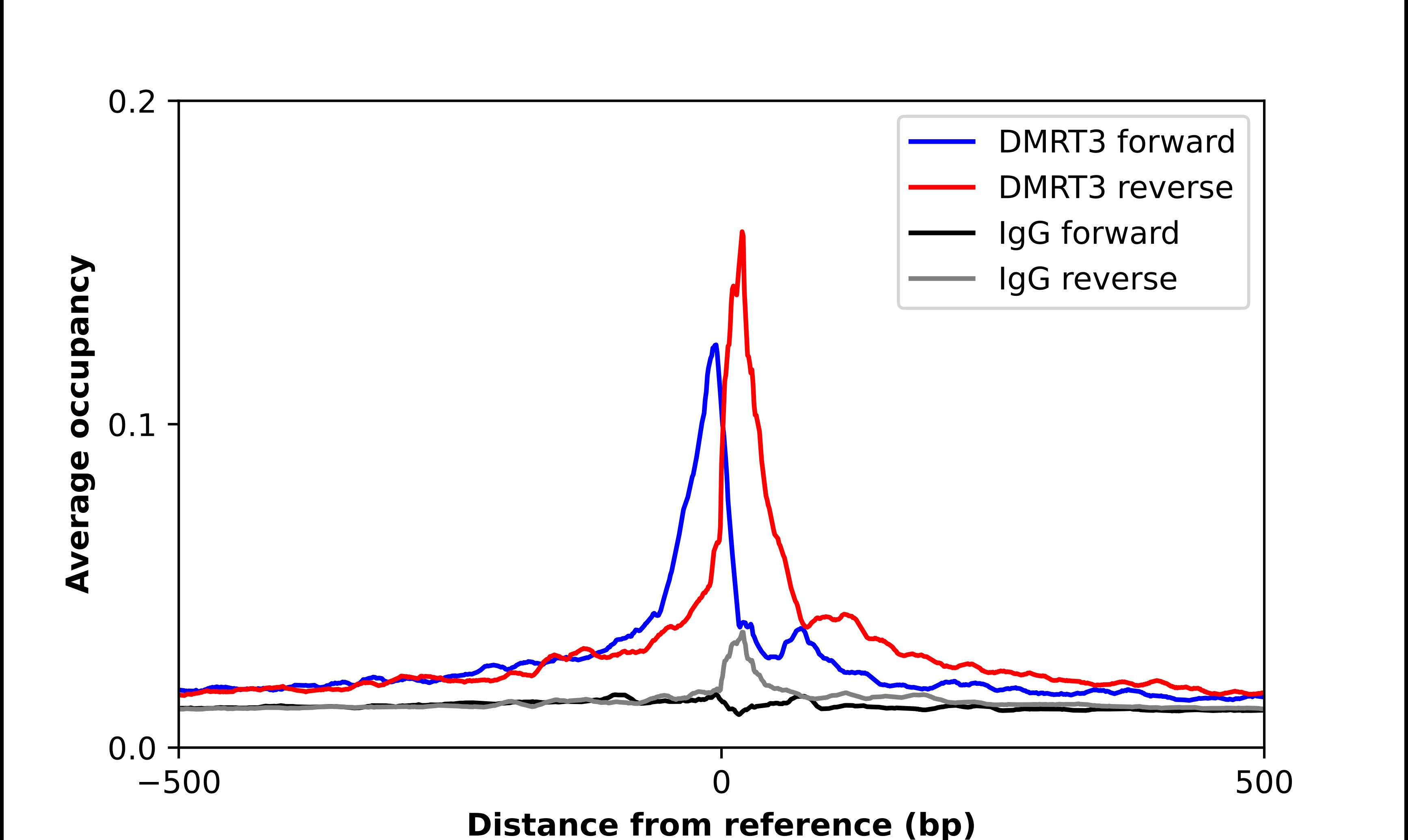 DMRT3 Antibody - BSA Free Chromatin Immunoprecipitation ChIP: DMRT3 Antibody - BSA Free