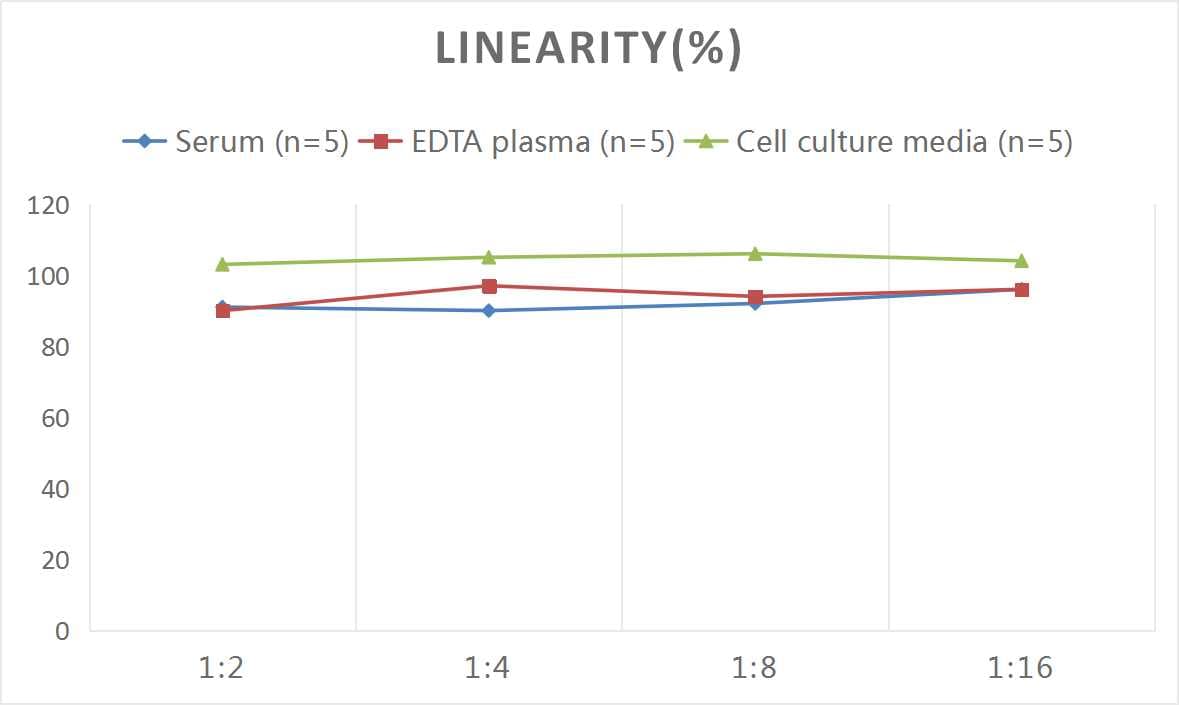 Human Angiotensin 1-7 ELISA Kit (Colorimetric)