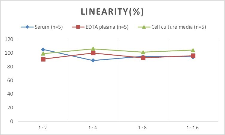 Human Apelin 17 ELISA Kit (Colorimetric)