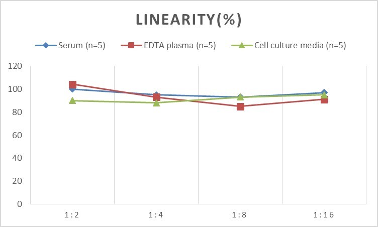 Mouse AP-1 ELISA Kit (Colorimetric)