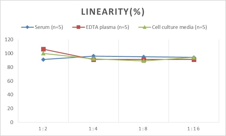 Rat Aquaporin-2 ELISA Kit (Colorimetric)