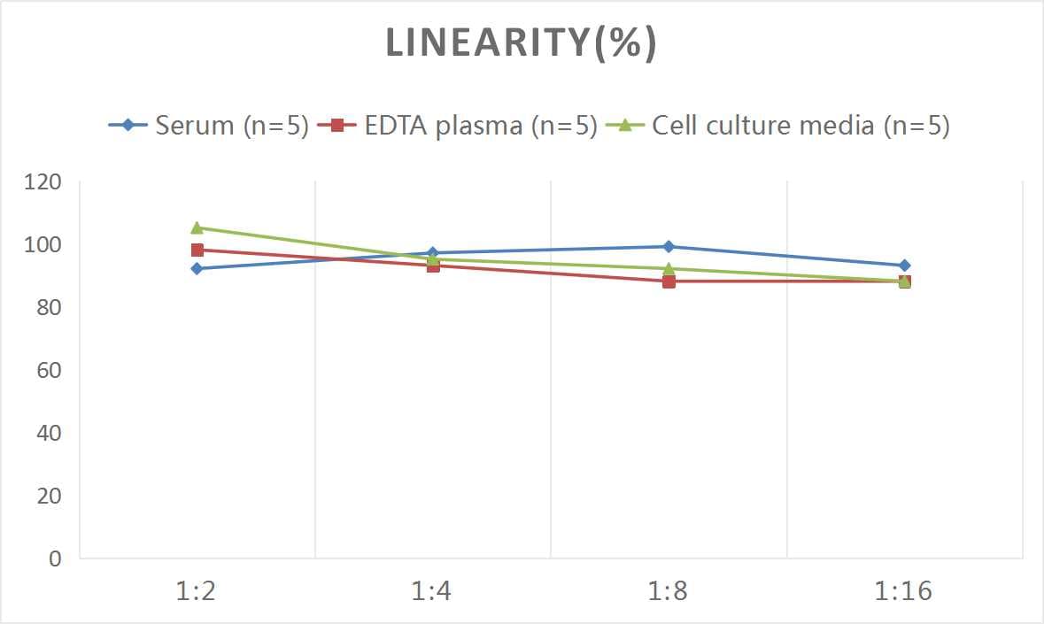 Rat Aquaporin-3 ELISA Kit (Colorimetric)