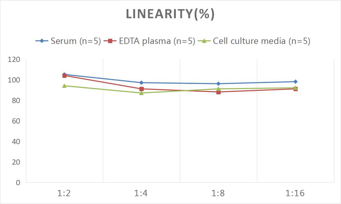 Rat Aquaporin-4 ELISA Kit (Colorimetric)