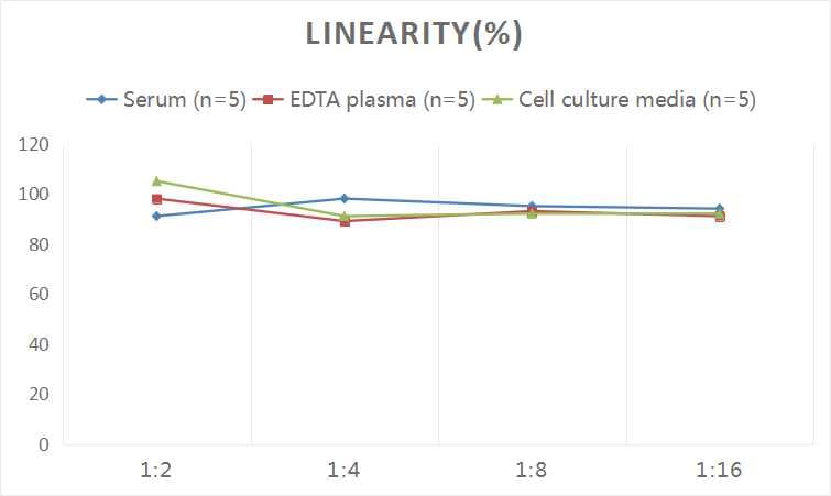 Human Aromatase ELISA Kit (Colorimetric)