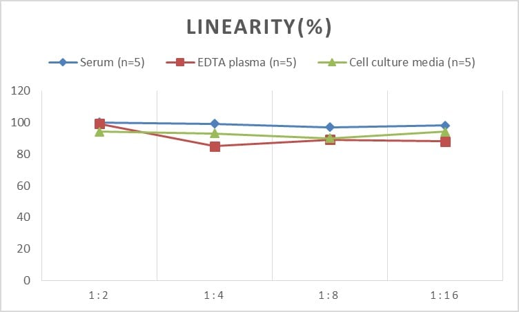 Human Asialoglycoprotein Receptor 2 ELISA Kit (Colorimetric)