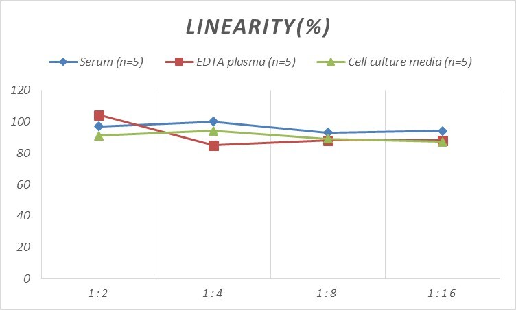 Human ATF1 ELISA Kit (Colorimetric)