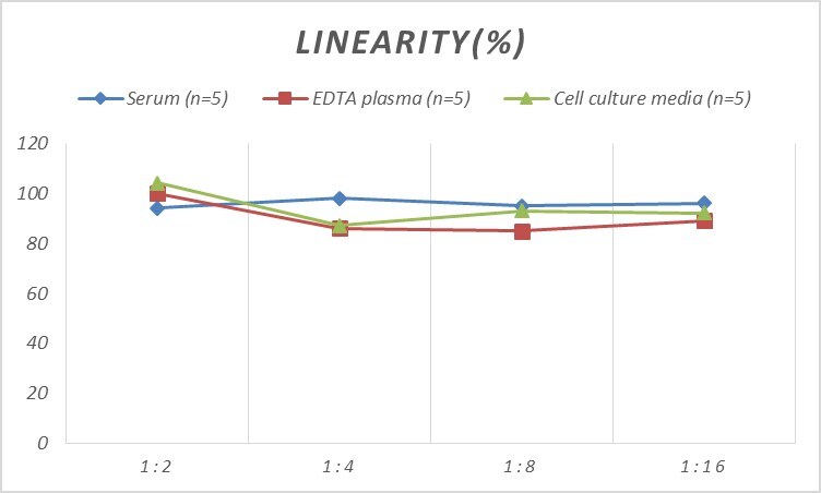Human ATF3 ELISA Kit (Colorimetric)