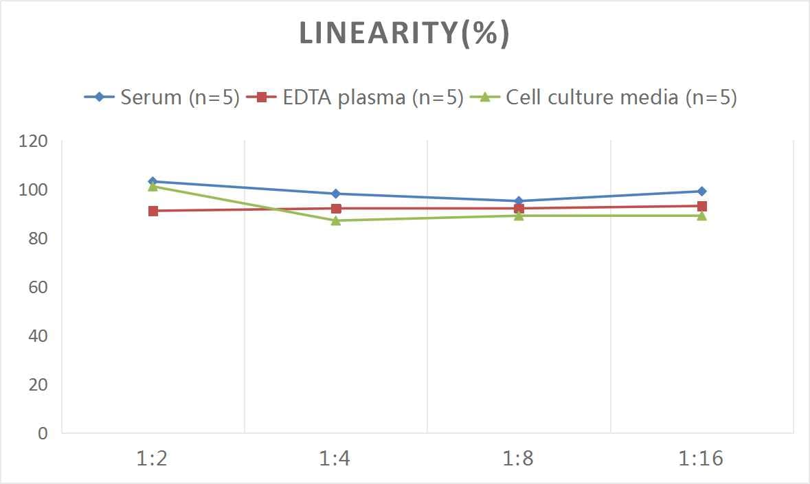 Human PEDFR/PNPLA2/ATGL ELISA Kit (Colorimetric)