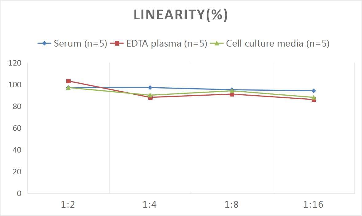 Rat PEDFR/PNPLA2/ATGL ELISA Kit (Colorimetric)