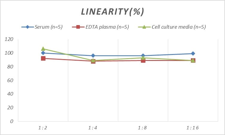 Human ATM ELISA Kit (Colorimetric)