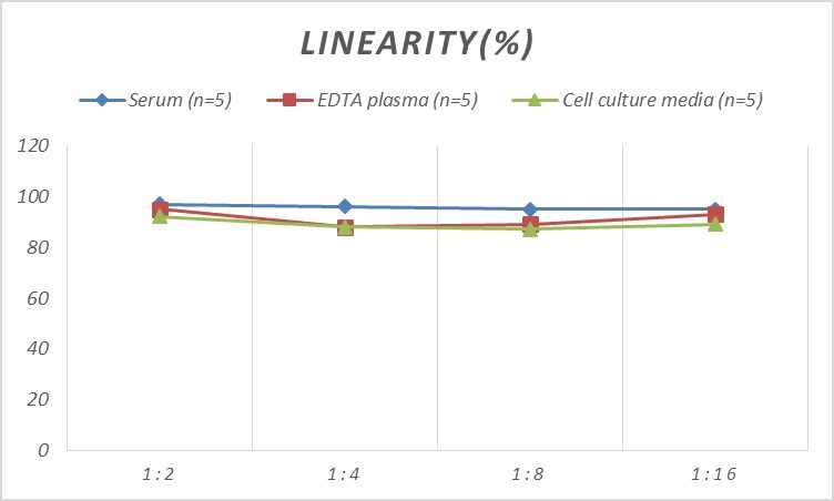 Mouse ATM ELISA Kit (Colorimetric)