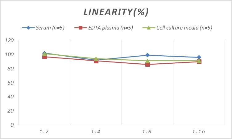 Human Bad ELISA Kit (Colorimetric)