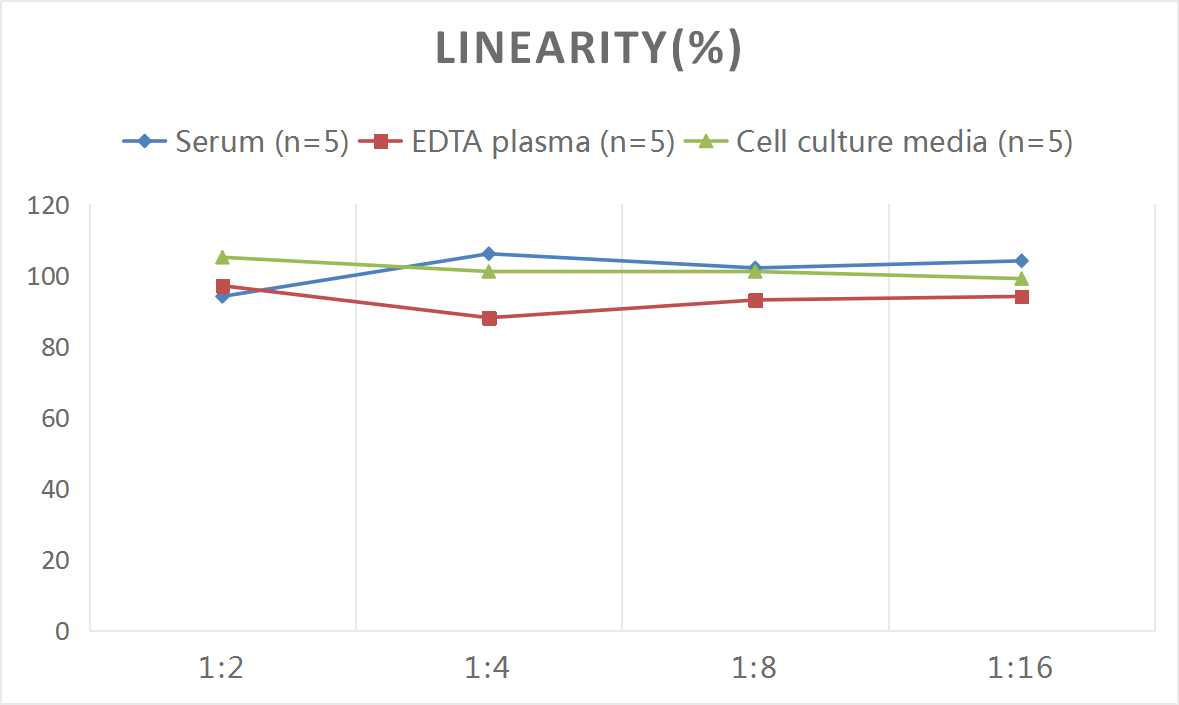 Rat Bcl-2 ELISA Kit (Colorimetric)