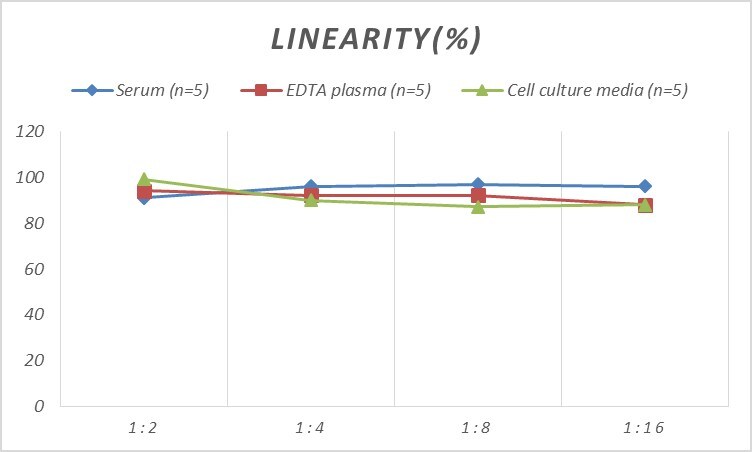 Human ASK1 ELISA Kit (Colorimetric)