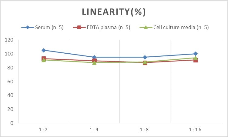 Rat Beclin 1 ELISA Kit (Colorimetric)