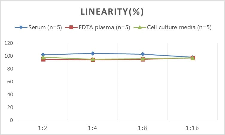 Rabbit FGF basic/FGF2/bFGF ELISA Kit (Colorimetric)