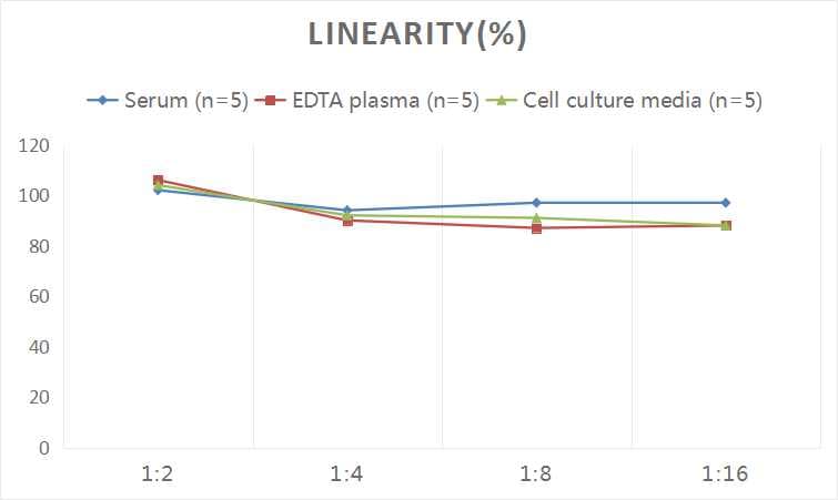 Human BID ELISA Kit (Colorimetric)
